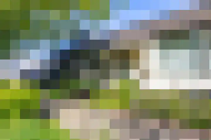 Jasmijnstraat 11 Winsum thumbnail 30