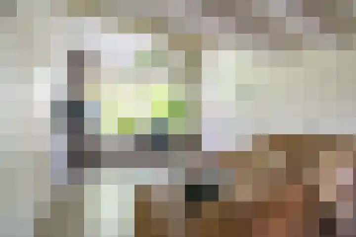 Jasmijnstraat 11 Winsum thumbnail 5