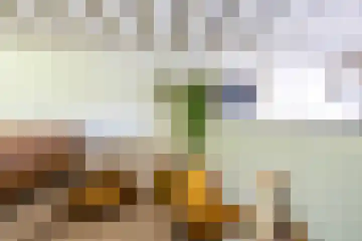 Jasmijnstraat 11 Winsum thumbnail 8