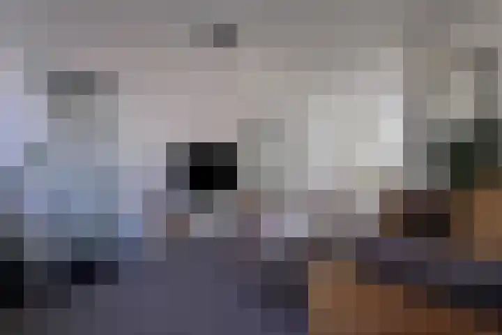 Jasmijnstraat 12 Den Haag thumbnail 7