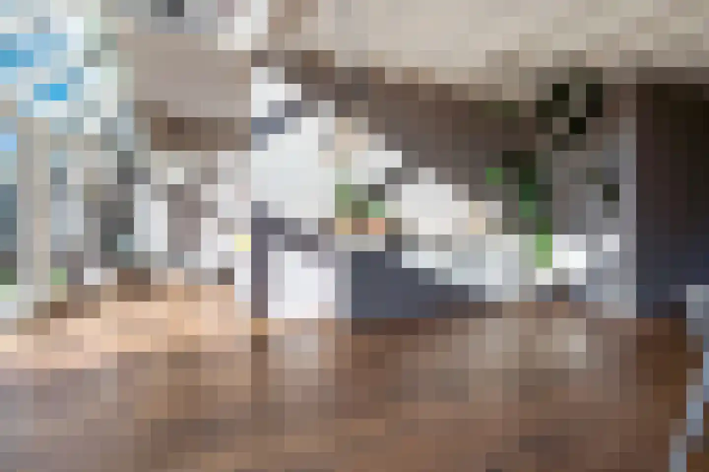 Jasmijnstraat 12 Wouwse Plantage thumbnail 6