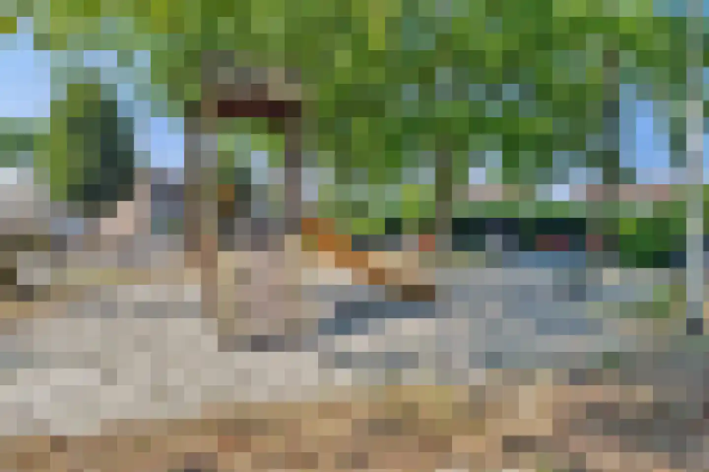 Jasmijnstraat 12 Wouwse Plantage thumbnail 61