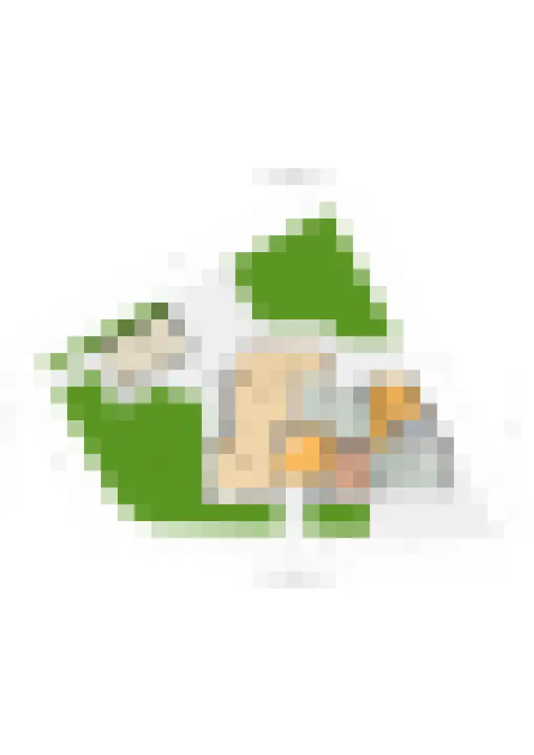 Jasmijnstraat 12 Wouwse Plantage thumbnail 66