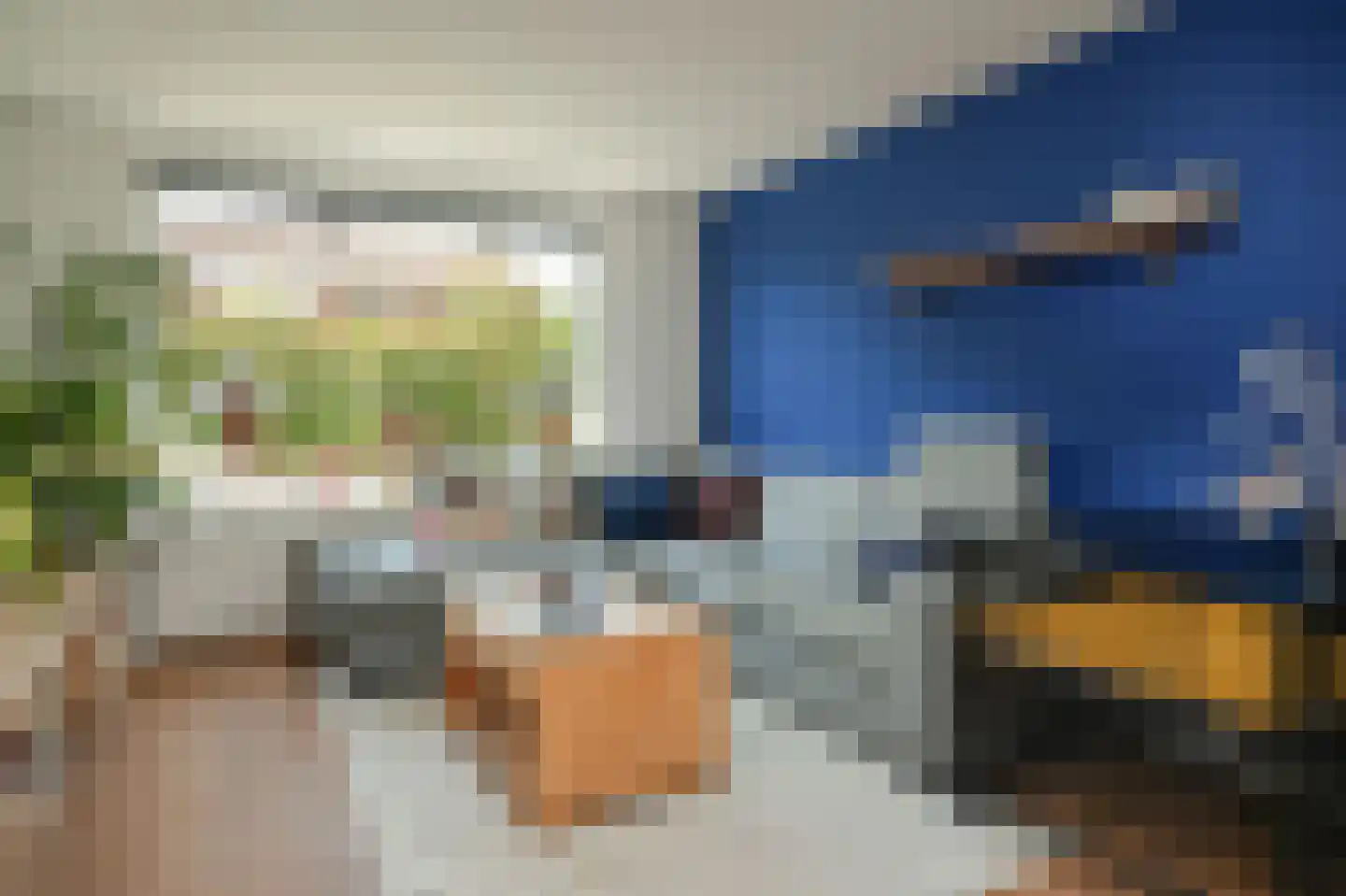 Jasmijnstraat 15 Beneden-Leeuwen thumbnail 11