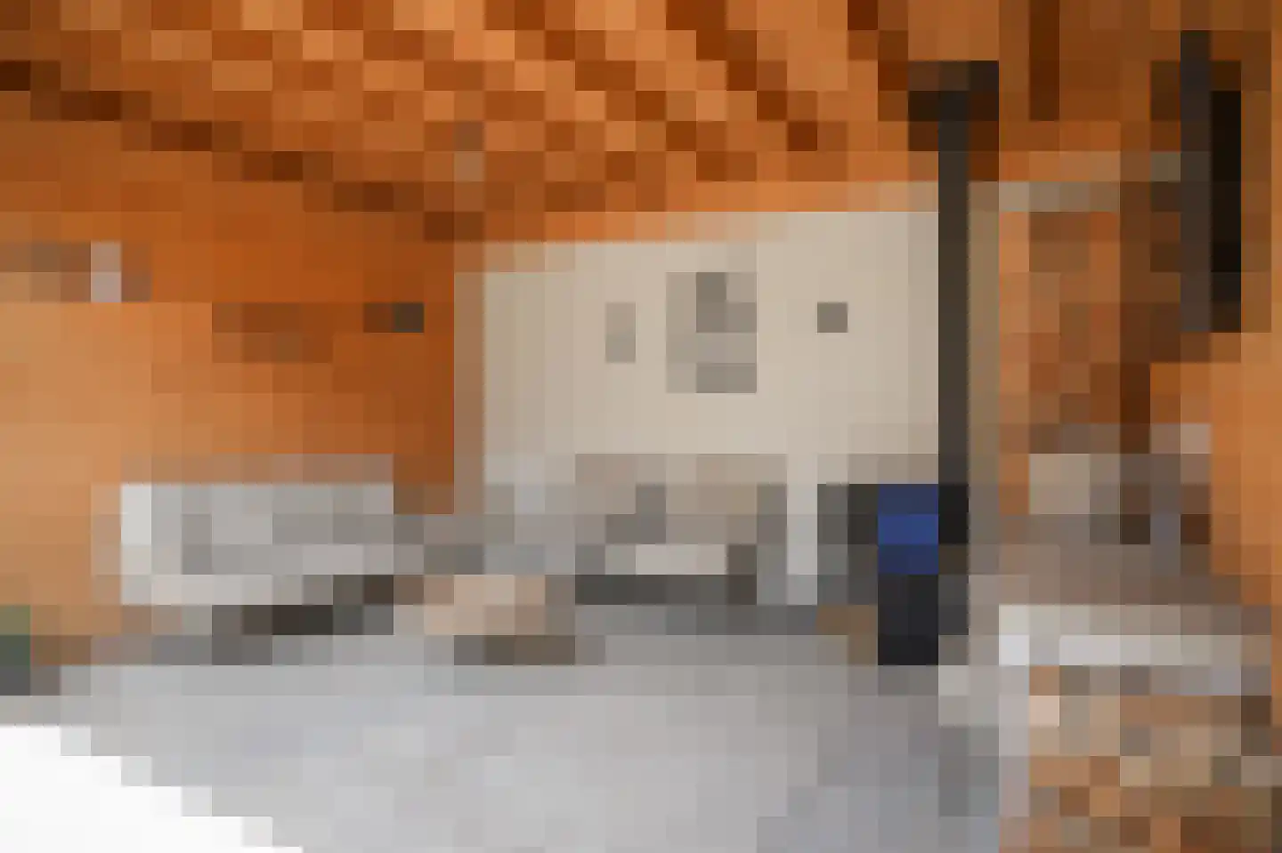 Jasmijnstraat 15 Beneden-Leeuwen thumbnail 31