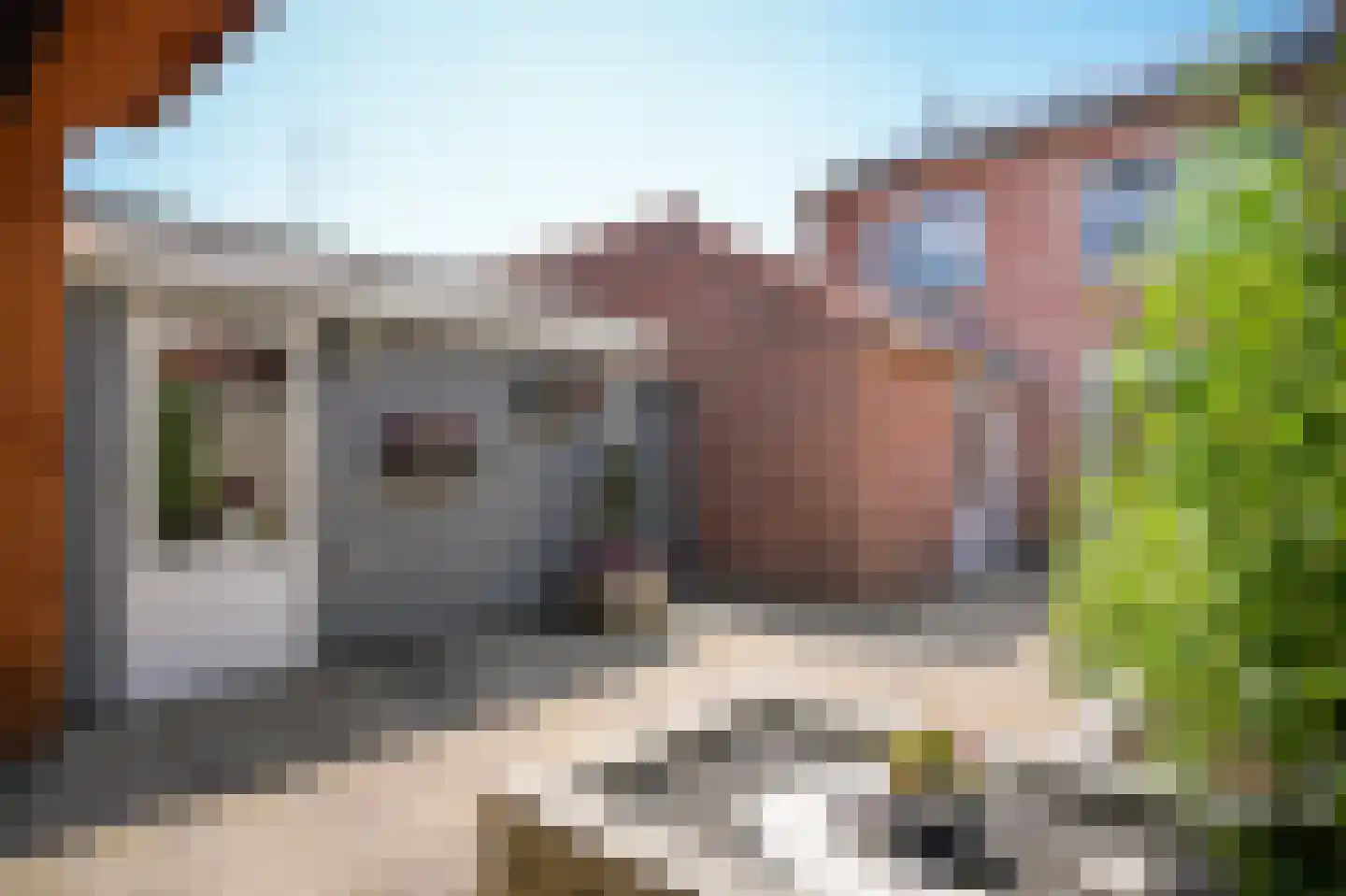 Jasmijnstraat 15 Beneden-Leeuwen thumbnail 34