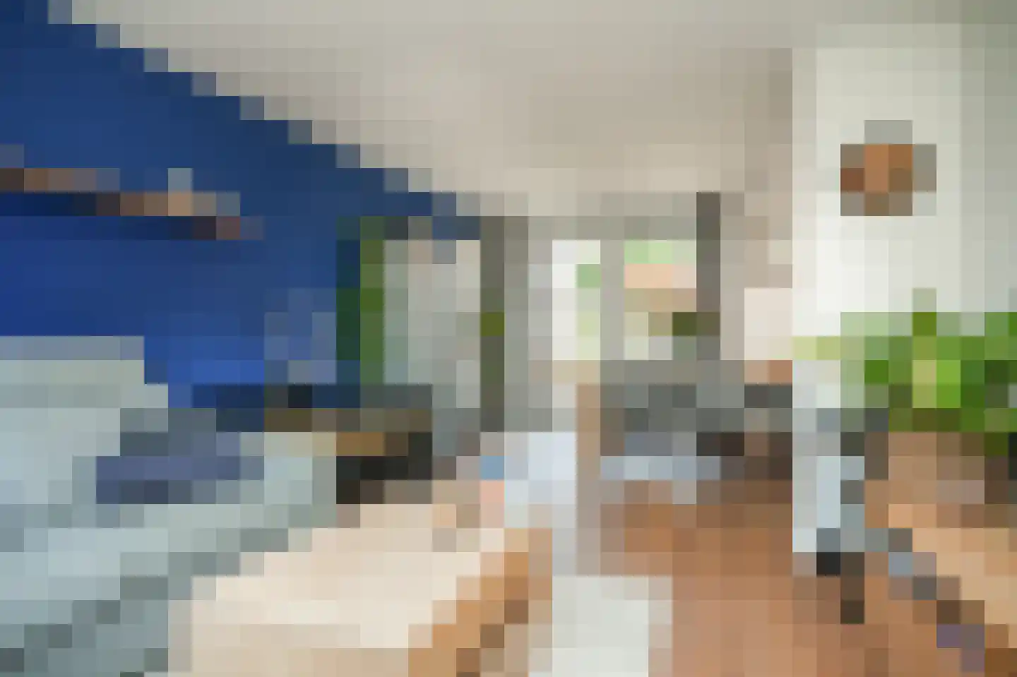 Jasmijnstraat 15 Beneden-Leeuwen thumbnail 4