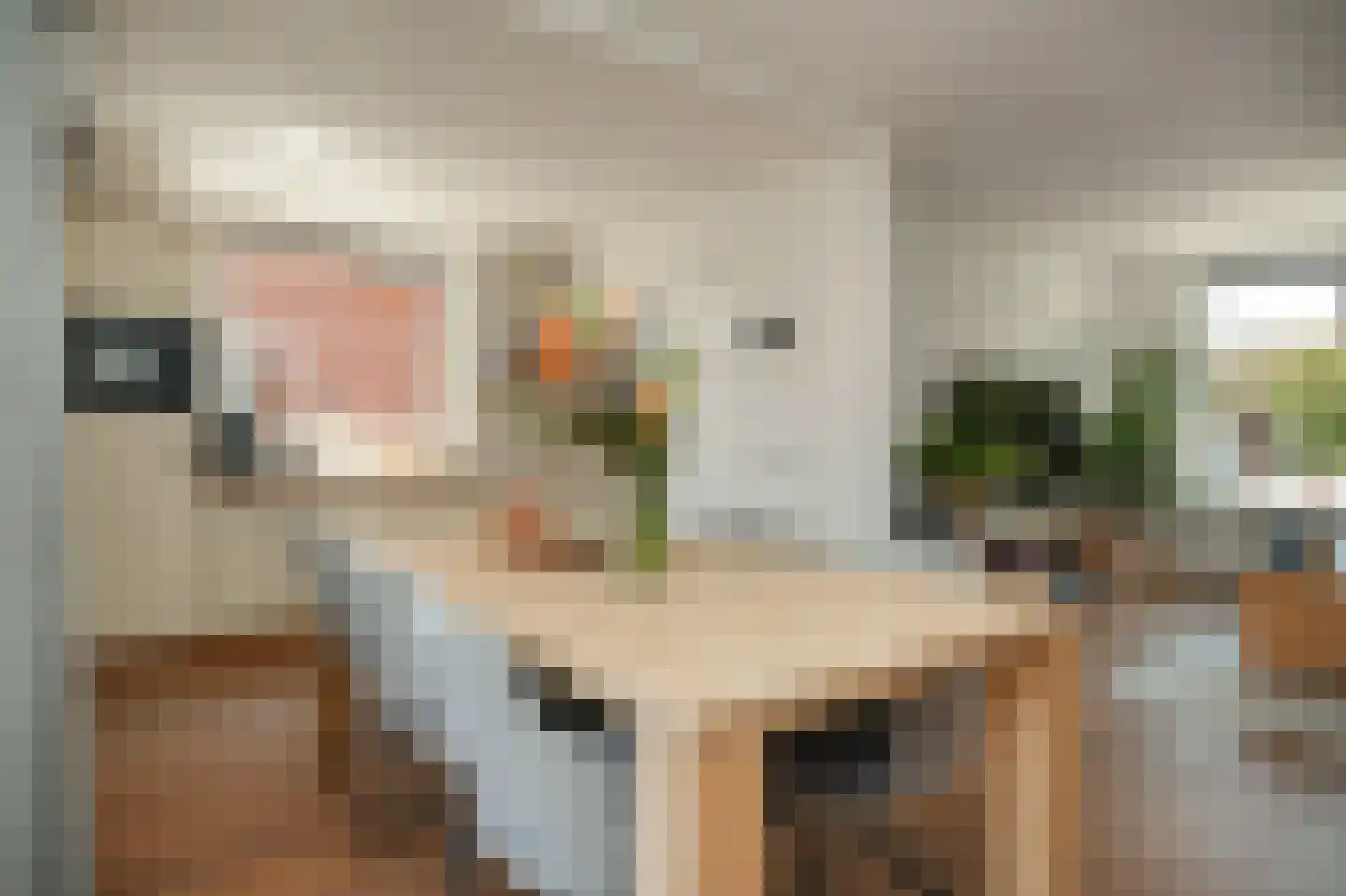Jasmijnstraat 15 Beneden-Leeuwen thumbnail 5