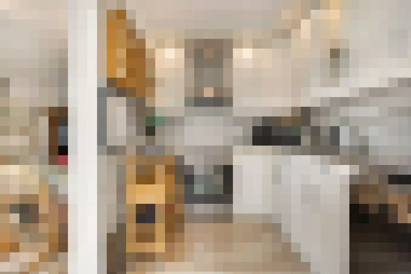 Jasmijnstraat 15 Nijmegen thumbnail 18