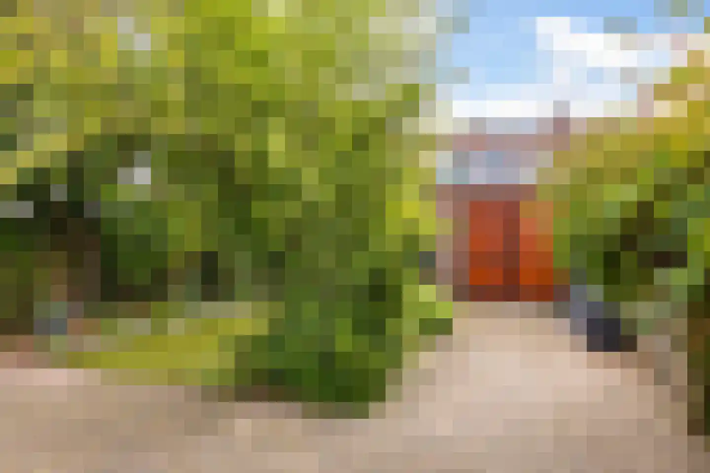 Jasmijnstraat 15 Nijmegen thumbnail 37