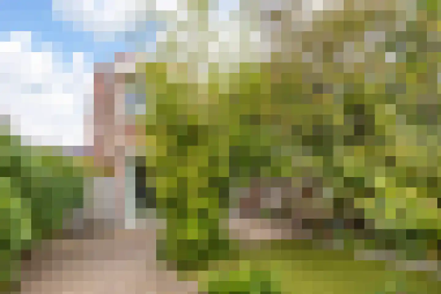 Jasmijnstraat 15 Nijmegen thumbnail 39