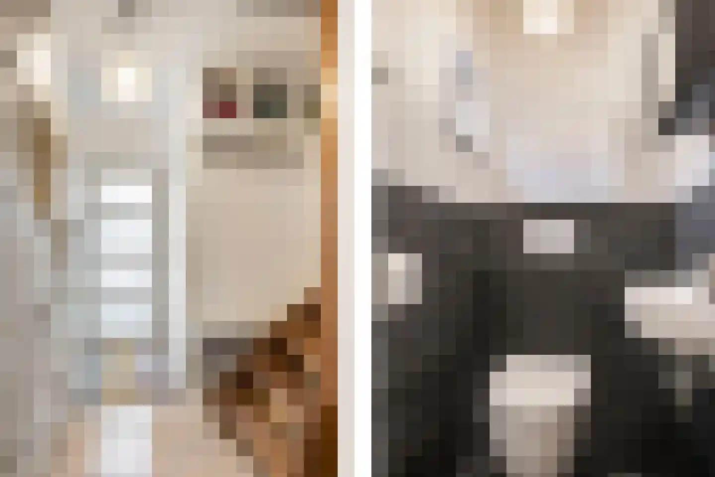 Jasmijnstraat 15 Nijmegen thumbnail 8