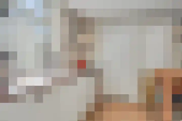 Jasmijnstraat 15 Tilburg thumbnail 15