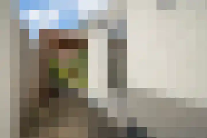 Jasmijnstraat 15 Tilburg thumbnail 30