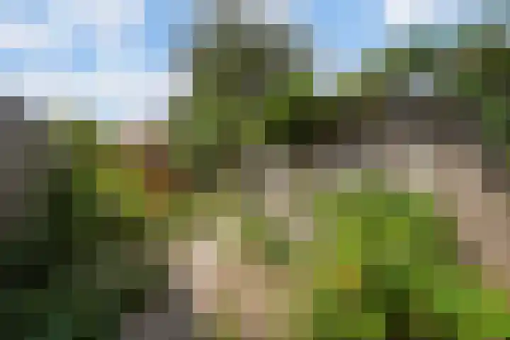 Jasmijnstraat 15 Tilburg thumbnail 31