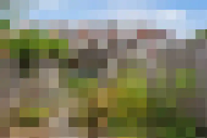 Jasmijnstraat 15 Tilburg thumbnail 32