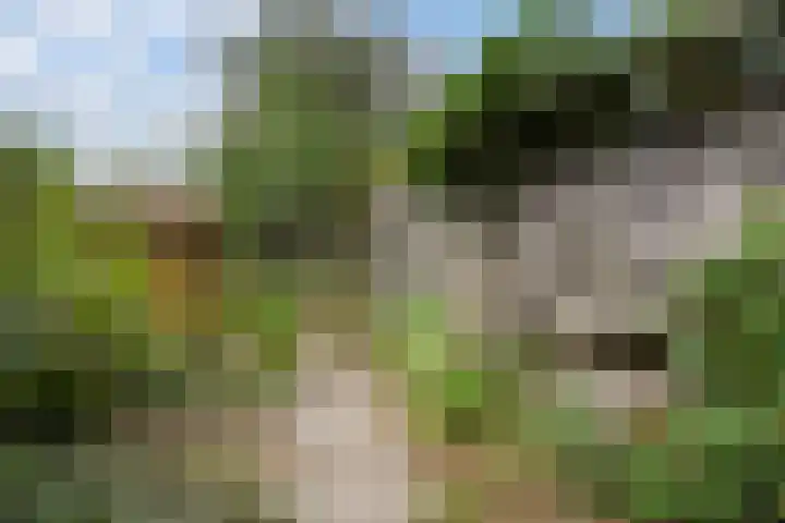 Jasmijnstraat 15 Tilburg thumbnail 33