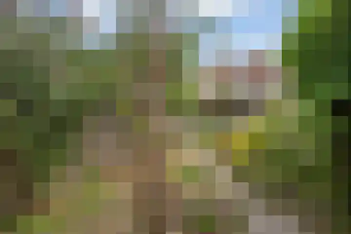 Jasmijnstraat 15 Tilburg thumbnail 34