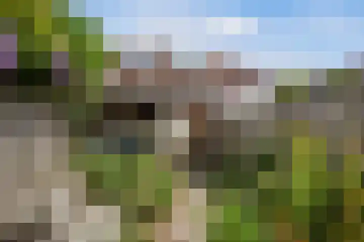 Jasmijnstraat 15 Tilburg thumbnail 35
