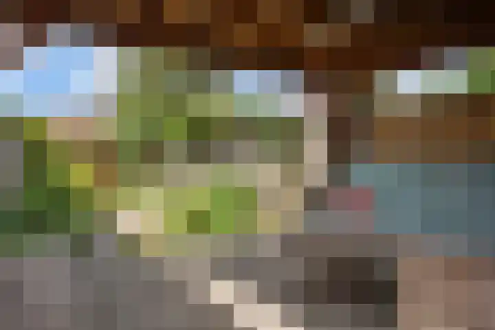 Jasmijnstraat 15 Tilburg thumbnail 36