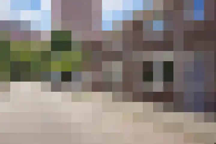 Jasmijnstraat 15 Tilburg thumbnail 40