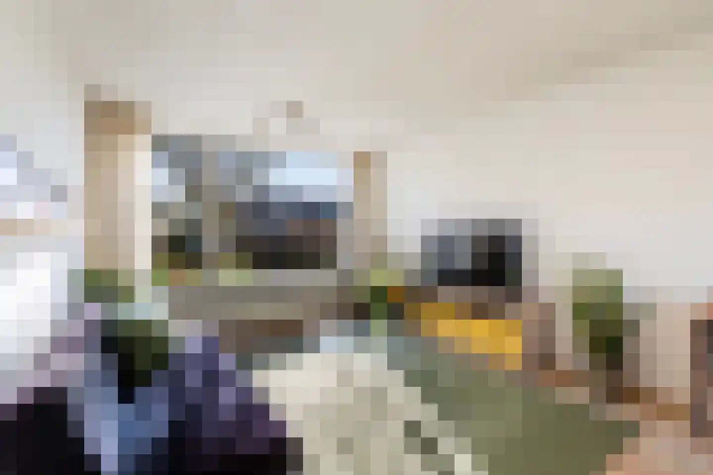 Jasmijnstraat 17 Dordrecht thumbnail 7