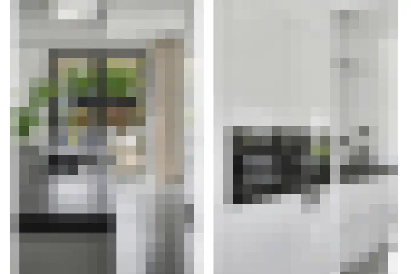 Jasmijnstraat 19 Goes thumbnail 11