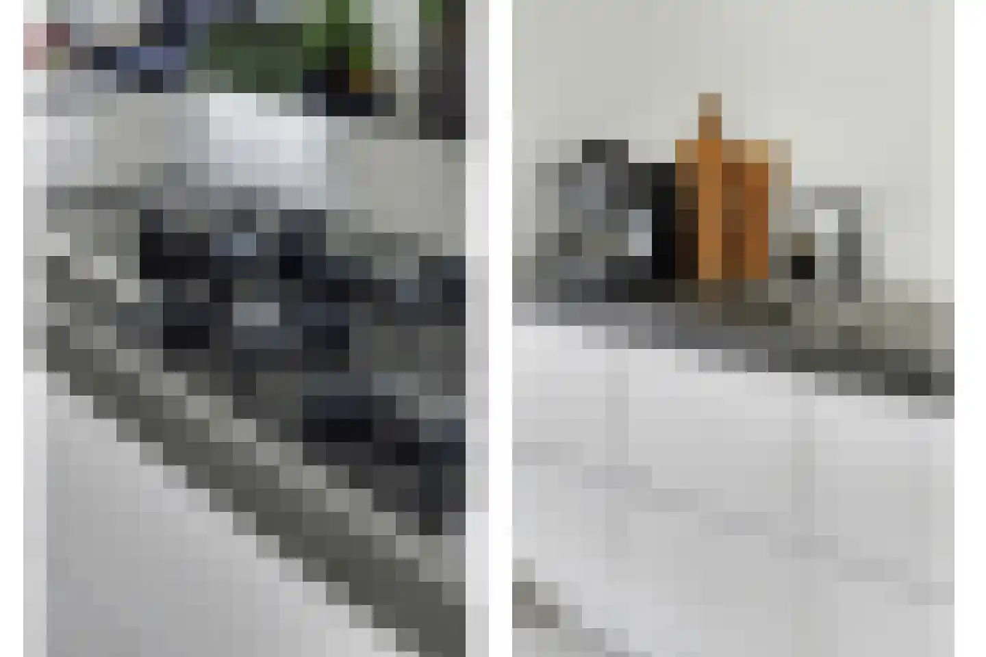 Jasmijnstraat 19 Goes thumbnail 12