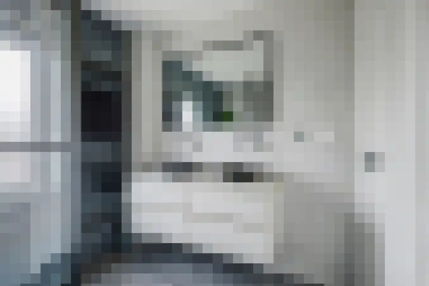 Jasmijnstraat 19 Goes thumbnail 21