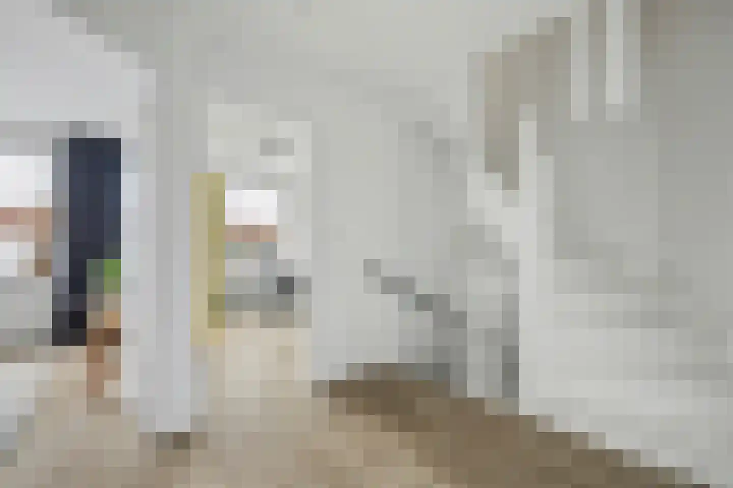Jasmijnstraat 19 Goes thumbnail 22