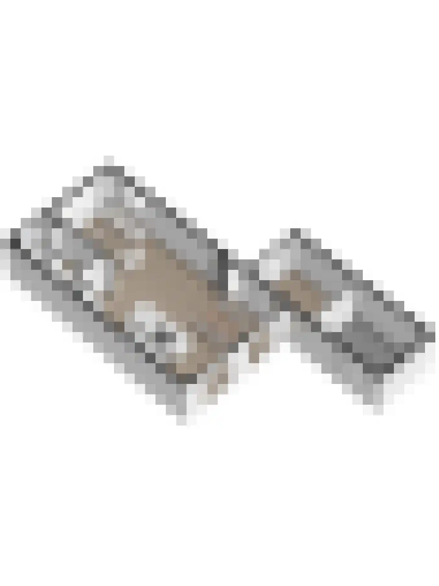 Jasmijnstraat 19 Goes thumbnail 37