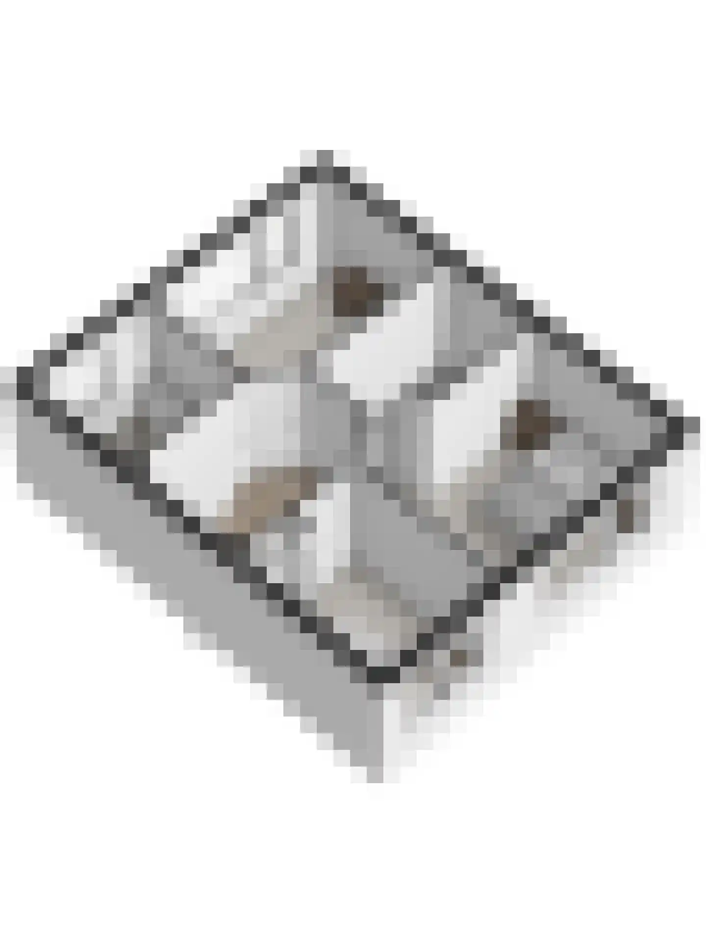 Jasmijnstraat 19 Goes thumbnail 38