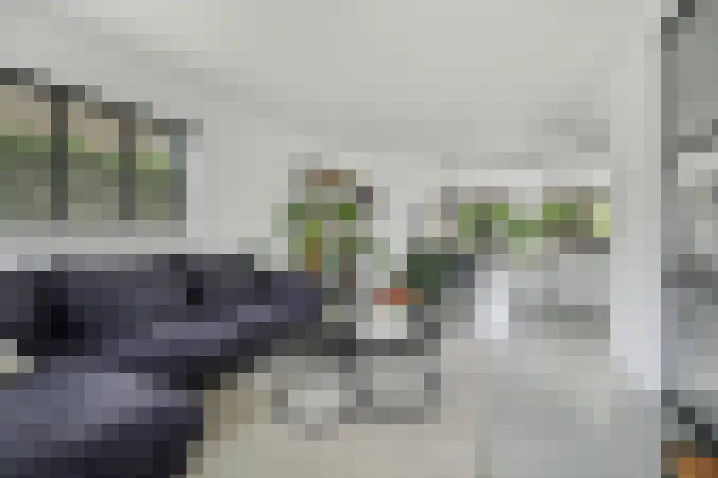 Jasmijnstraat 19 Goes thumbnail 8