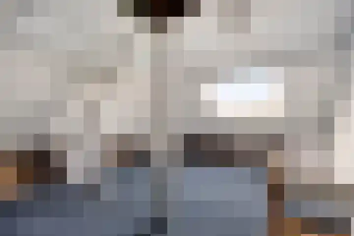 Jasmijnstraat 19 Tilburg thumbnail 20