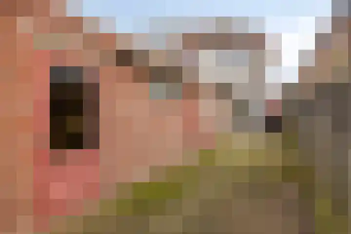 Jasmijnstraat 19 Tilburg thumbnail 24