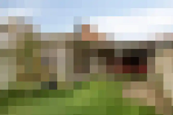 Jasmijnstraat 19 Tilburg thumbnail 26