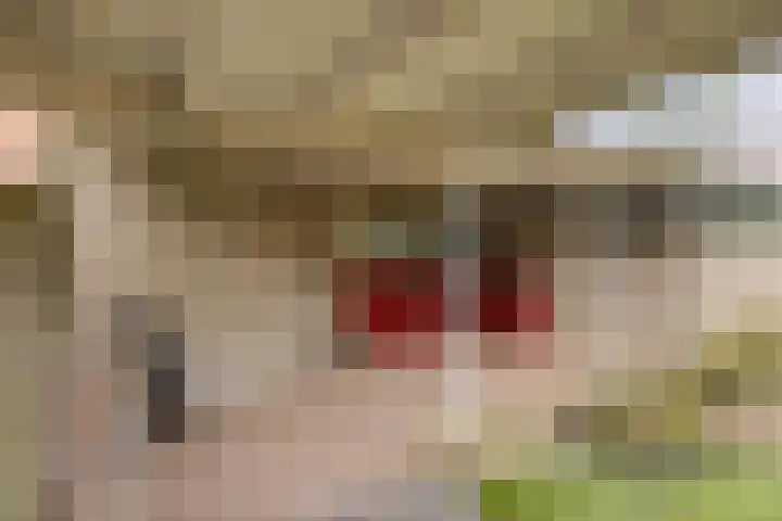 Jasmijnstraat 19 Tilburg thumbnail 27