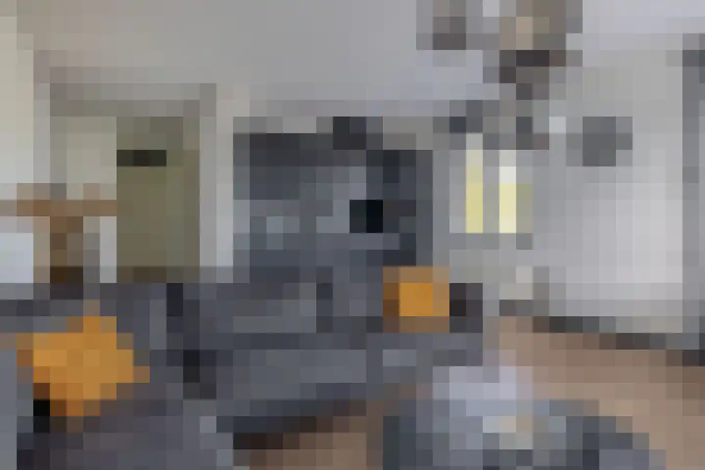 Jasmijnstraat 2 e Sint-Oedenrode thumbnail 8