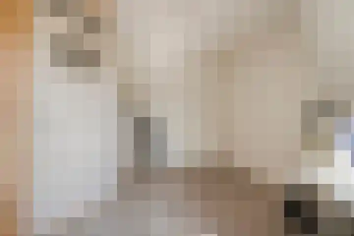 Jasmijnstraat 2 Middelburg thumbnail 20