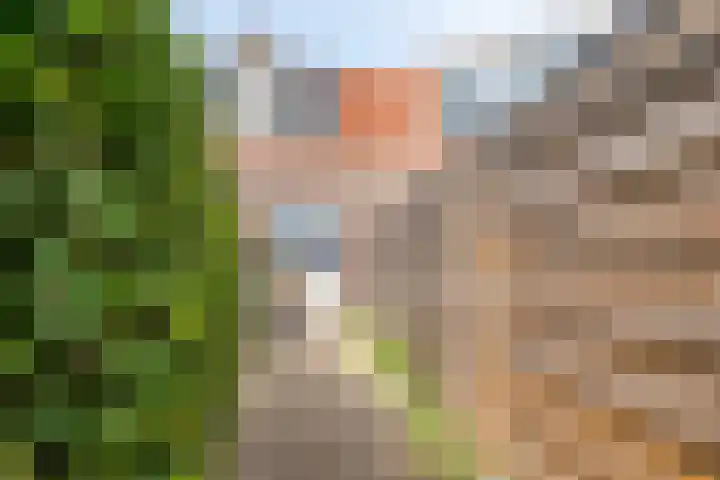 Jasmijnstraat 2 Middelburg thumbnail 22