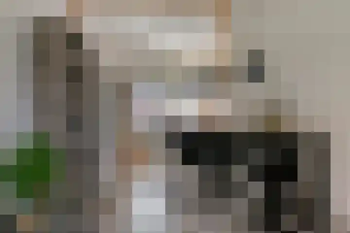 Jasmijnstraat 2 Middelburg thumbnail 7