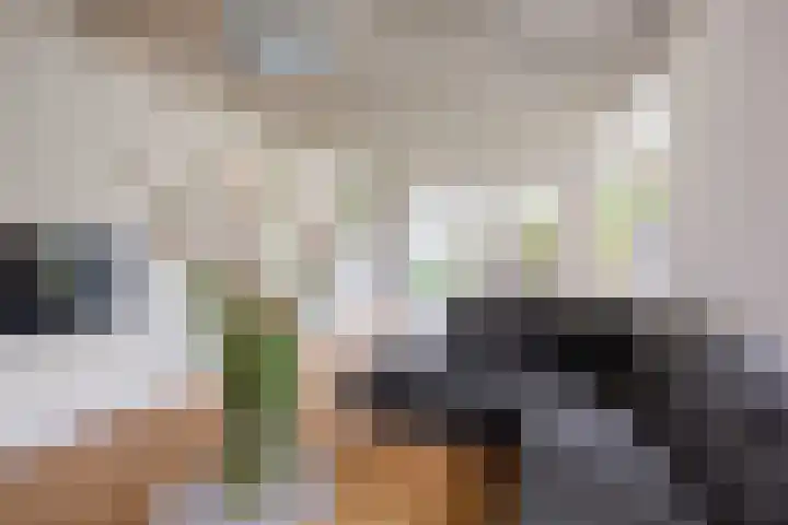 Jasmijnstraat 2 Winsum thumbnail 13