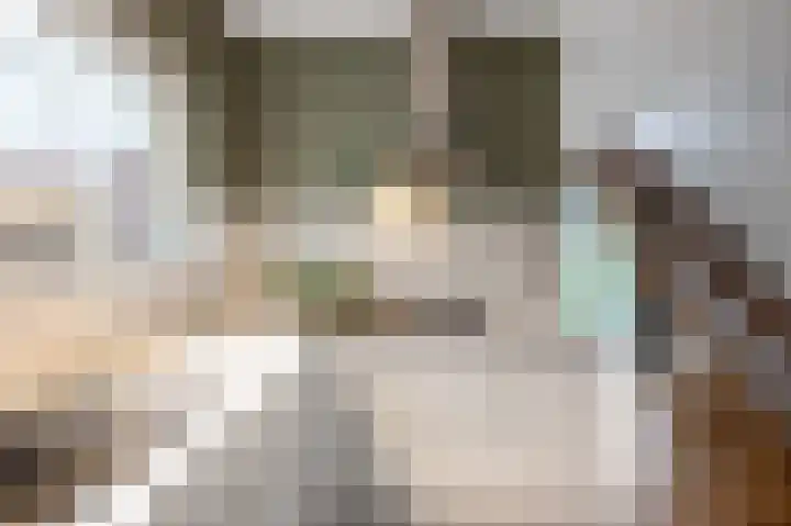 Jasmijnstraat 2 Winsum thumbnail 22
