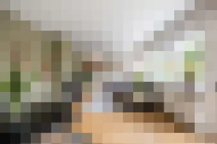 Jasmijnstraat 2 Winsum thumbnail 26