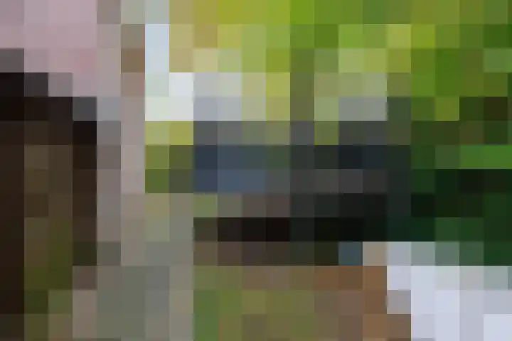 Jasmijnstraat 2 Winsum thumbnail 52