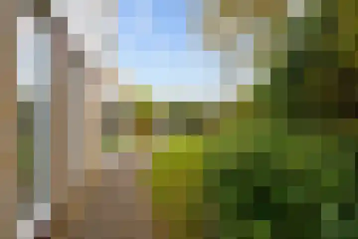 Jasmijnstraat 2 Winsum thumbnail 54