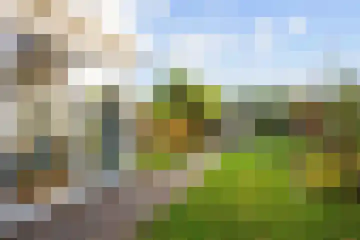 Jasmijnstraat 2 Winsum thumbnail 55