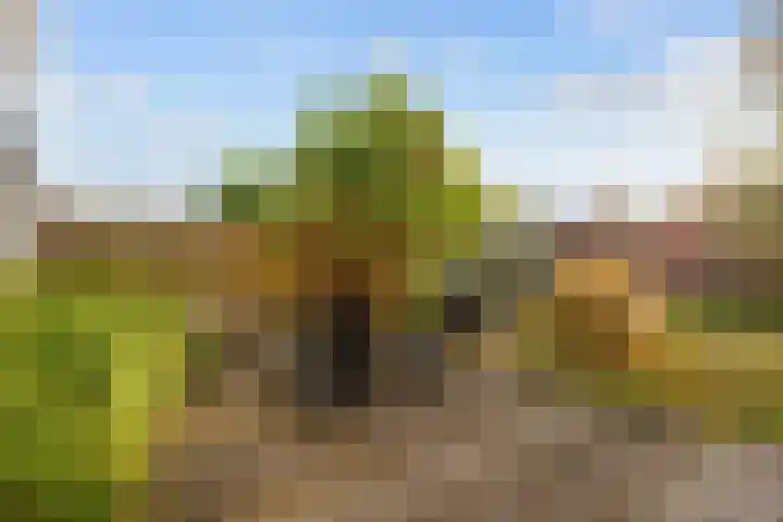 Jasmijnstraat 2 Winsum thumbnail 56