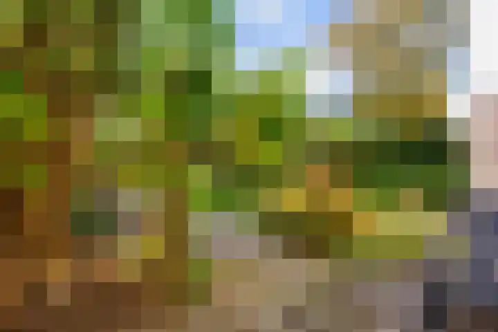 Jasmijnstraat 2 Winsum thumbnail 57