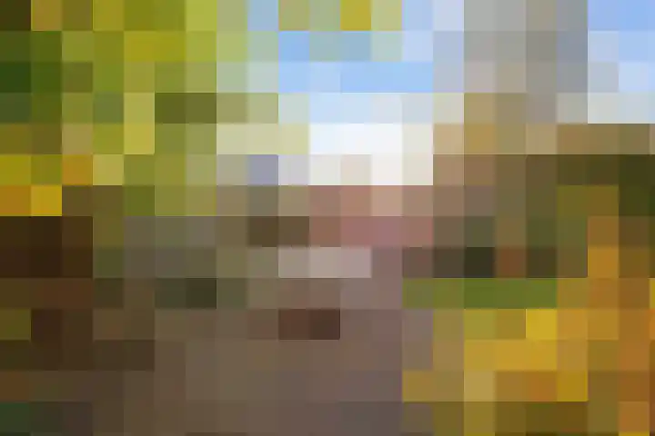 Jasmijnstraat 2 Winsum thumbnail 59